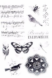 tampon clear stamp thème musique ,papillon et oiseau